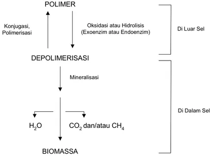 Gambar 6. Dogma dasar biodegradasi polimer (Kaplan et al. dalam Ching et  al., 1993). 