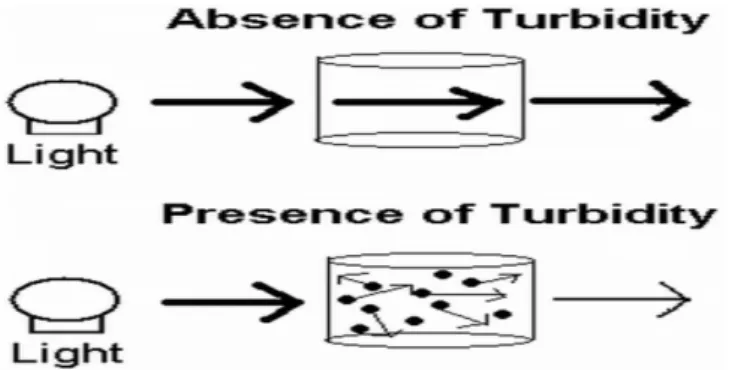 Gambar 2.3 Ilustrasi efek dari kekeruhan bagaimana cahaya dapat melewati air                        (Wilson, 2013) 