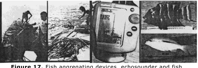 Figure 17. Fish aggregating devices, echosounder and fish  
