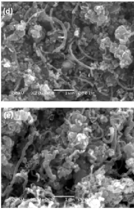 Gambar 4. Citra SEM nanotube karbon pada waktu  pemanasan 30 menit (a), 60 menit (b), 90 menit (c), 120  menit (d), dan 150 menit (e)