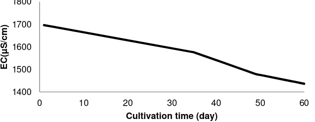 Figure 1 . Model of EC decling rate of tomato cultivation due nutrient uptake 