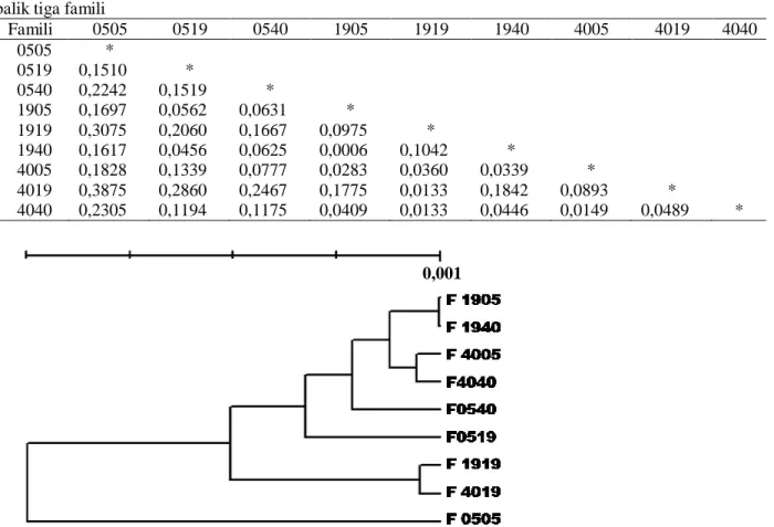 Tabel 7. Jarak genetik interpopulasi ikan  nila Oreochromis niloticus generasi kelima  hasil persilangan timbal  balik tiga famili  