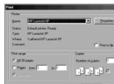 Figure 10-6: Showing the Print dialog box to the user