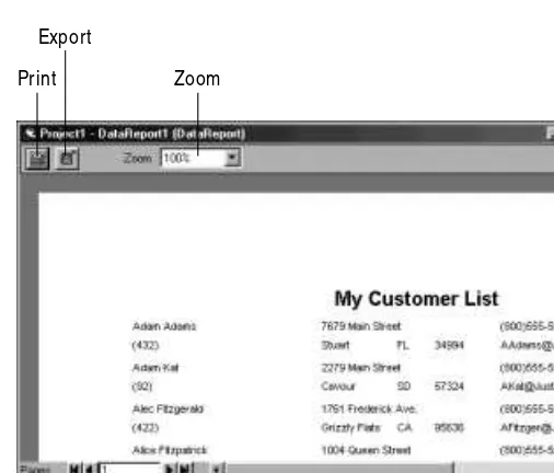 Figure 10-5: Showing the preview of your report