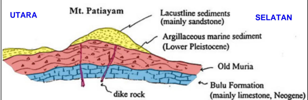 Gambar 2.5 Model struktural (tanpa skala) Gunung Patiayam (NEWJEC , 1996). 