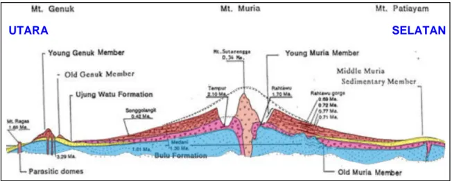 Gambar 2.1 Penampang geologi skematik (tanpa skala) di sekitar Semenanjung Muria  (NEWJEC, 1996)
