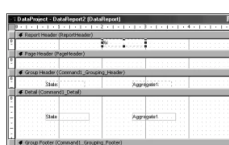 Figure 6-9: Building a report using the Data Reporter Designer