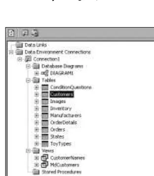 Figure 6-4: Using the Data View Window to browse and edit the database structures in your database