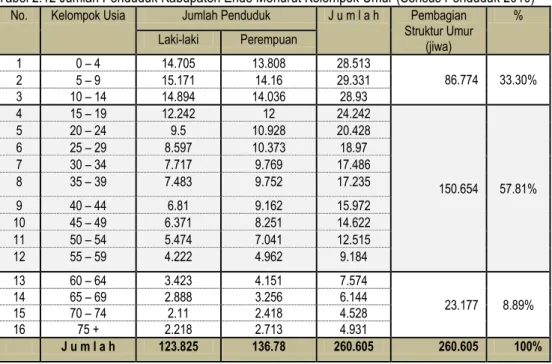 Tabel 2.12 Jumlah Penduduk Kabupaten Ende Menurut Kelompok Umur (Sensus Penduduk 2010)  No