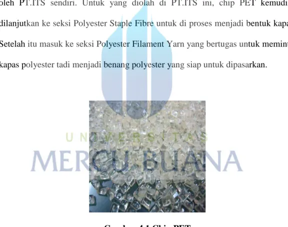 Gambar 4.1 Chip PET 