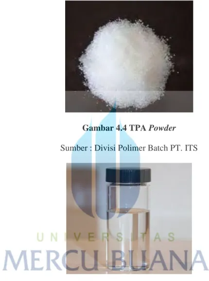 Gambar 4.4 TPA Powder 