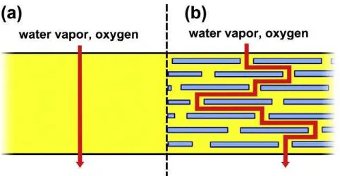 Gambar 5. Ilustrasi lintasan uap air pada lapisan (a) polimer, (b) tanah lempung dalam matriks polimer [15] 