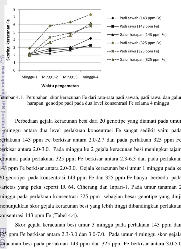 Gambar 4.1.  Perubahan  skor keracunan Fe dari rata-rata padi sawah, padi rawa, dan galur  harapan  genotipe padi pada dua level konsentrasi Fe selama 4 minggu 