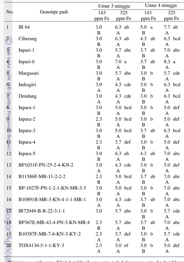 Tabel  4.5.  Interaksi antara genotipe dan konsentrasi Fe terhadap skor gejala keracunan Fe   tanaman   umur 3 minggu dan 4 minggu  
