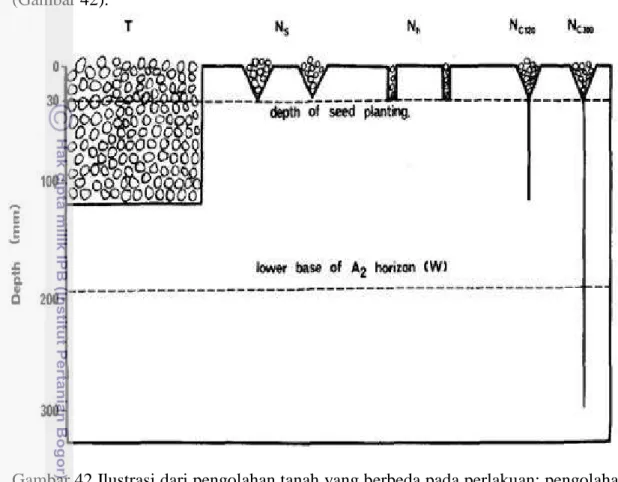 Gambar 42 Ilustrasi dari pengolahan tanah yang berbeda pada perlakuan: pengolahan  tanah  yang  seragam  (T);  30  mm  kedalaman  celah,  (Ns);  30  mm  kedalaman lubang (N h ) 30 mm kedalaman celah dengan retakan vertikal  buatan hingga kedalaman 120 mm (