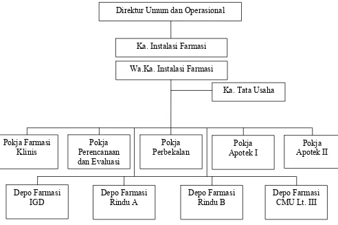 Gambar 3.1  Struktur Organisasi Instalasi Farmasi RSUP H. Adam Malik 