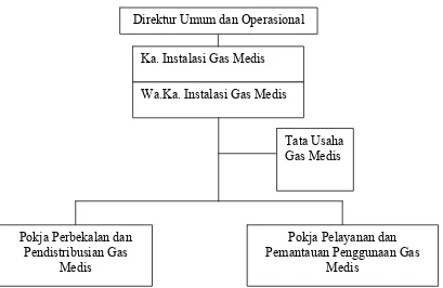 Gambar 3.3 Struktur Organisasi Instalasi Gas Medis RSUP H. Adam Malik 