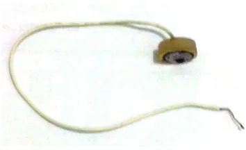 Gambar 3.3 Elektroda Kerja (Baja Karbon) 