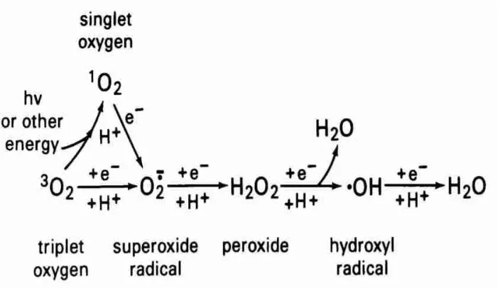 Gambar 2.1 Stuktur Kimia Radikal Bebas 