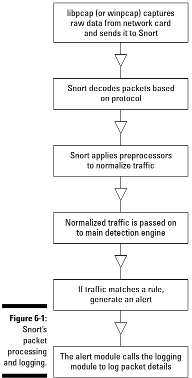 Figure 6-1:Snort’s