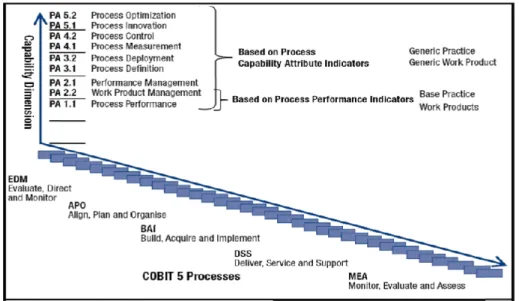 Gambar 4. Indikator Assessment COBIT ® 5 PAM [2] 