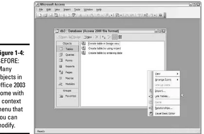 Figure 1-4: BEFORE: Many objects in Office 2003 come with  a context menu that you can modify.