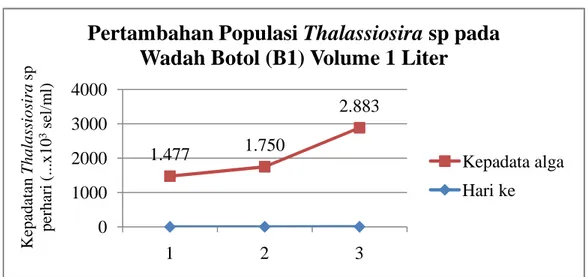Gambar 3 Grafik pertambahan populasi Thalassiosira sp. pada wadah botol (B1) 
