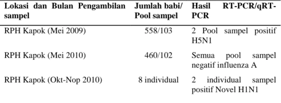 Tabel 1. Identifikasi sampel swab nasal babi dari RPH Kapok dengan menggunakan RT-PCR konvensional dan RealTime RT-PCR menggunakan beberapa set primer