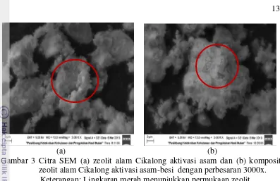 Gambar 3 Citra SEM (a) zeolit alam Cikalong aktivasi asam dan (b) komposit 