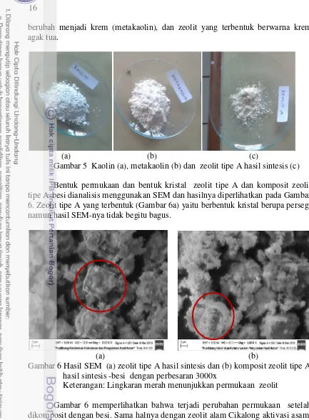 Gambar 5  Kaolin (a), metakaolin (b) dan  zeolit tipe A hasil sintesis (c)  