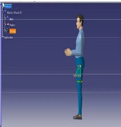 Fig 5.1 Manikin model showing reference axis (left leg) 