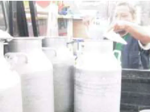 Gambar 1. Pemantauan dan pengambilan sampel susu di tingkat pengumpul. 