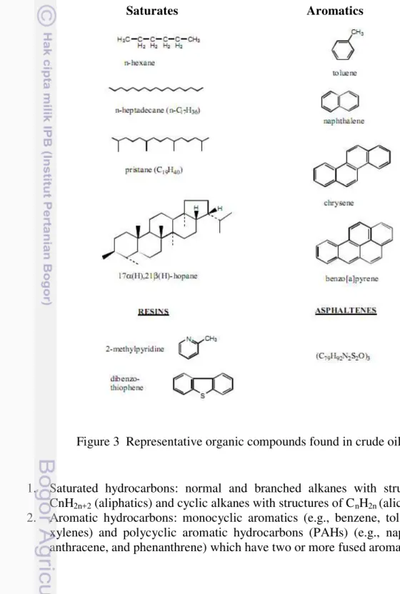 Figure 3  Representative organic compounds found in crude oil 