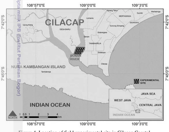 Figure 4  Location of field experimental site in Cilacap Coastal 
