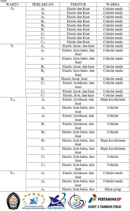 Tabel 2. Warna dan Tekstur Thallus Rumput Laut Gracilaria sp. setiap 7 Hari Selama 21 Hari 