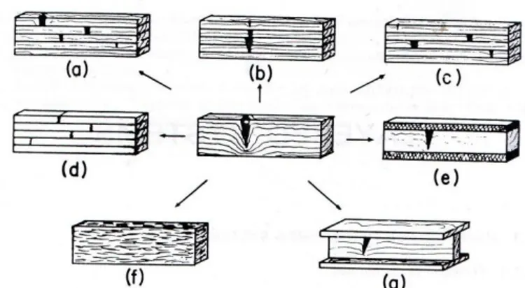 Gambar 1.2  Reorganisasi Kayu Utuh Menjadi Lamina-Lamina untuk Meningkatkan Efisiensi  [Bodig, J., Jayne, B.A, 1993]
