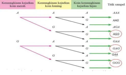 Gambar 2.2 Contoh Diagram Pohon Kedua Untuk Menentukan Ruang Sampel 