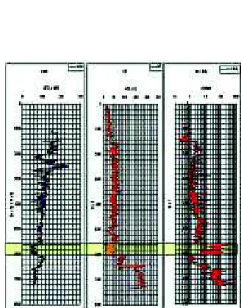 Gambar 9: Grafik log Sonic-GR-Resiativity sumur 1. Zona kuning adalah daerah dugaan hidrokarbon