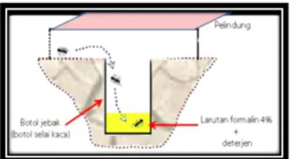 Gambar 1. Jebakan Pitfall Trap (www.naturetable.co.uk) Penentuan Karakter Tanah Penentuan karakter tanah sebagai habitat makrofauna tanah dilakukan dengan mengukur suhu tanah, kelembaban tanah, pH tanah, dan bahan organik tanah dengan cara kerja sebagai be