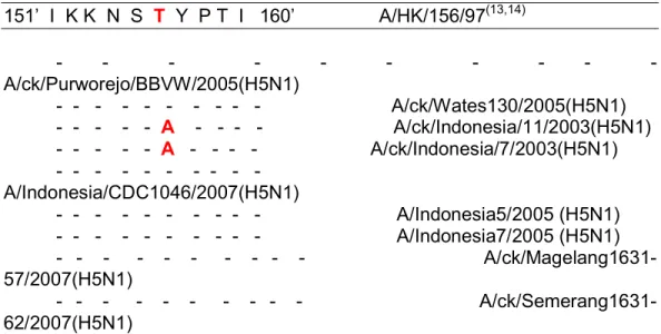 Tabel 5.  Alignment sekuens asam amino HA pada posisi 151 – 160 dari protein HA  H5  dari  Virus  influenza  A/H5N1  ayam  tahun  2003,  2005,  2007  dan  manusia tahun 2005, 2007