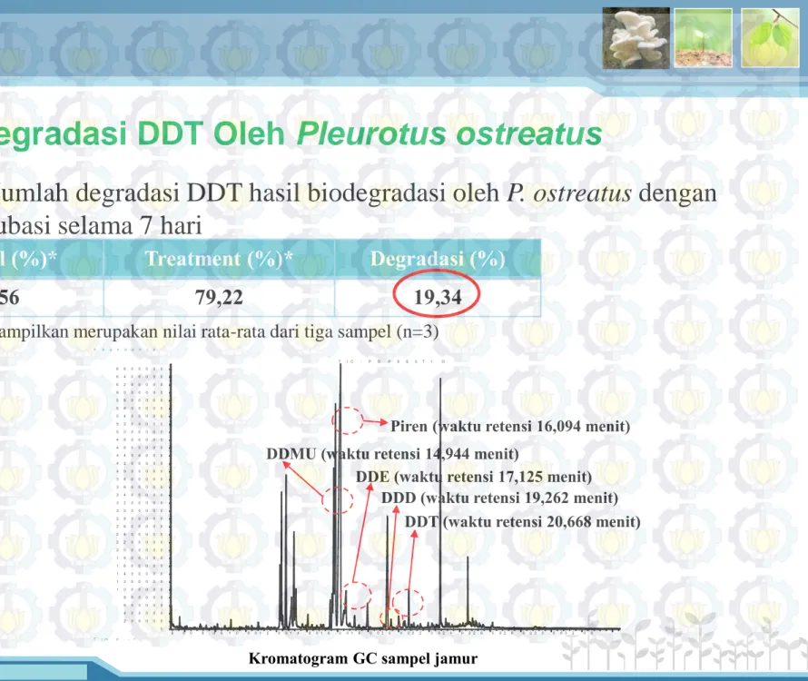 Tabel 1.  Jumlah degradasi DDT hasil biodegradasi oleh P. ostreatus dengan  waktu inkubasi selama 7 hari 
