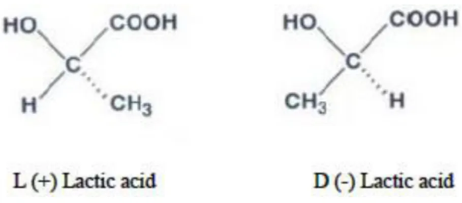 Gambar 1.1. Struktur dari  L(+) lactic acid dan D(-) lactic acid 