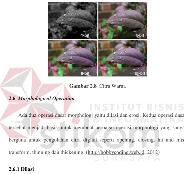 Gambar 2.8  Citra Warna  2.6  Morphological Operation 