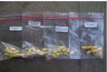 Gambar 17. Hasil cetakan die stone pada 0 menit, 15 menit, 20 menit dan 30 menit 