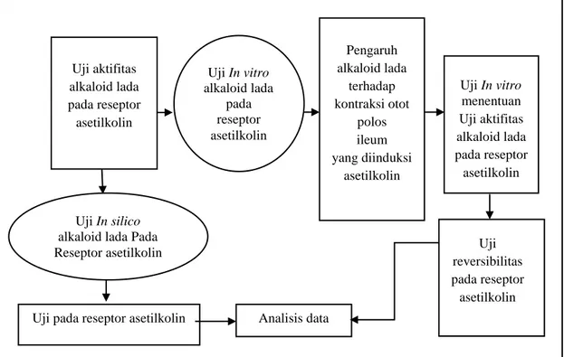 Gambar 1. Skema Langkah Kerja 