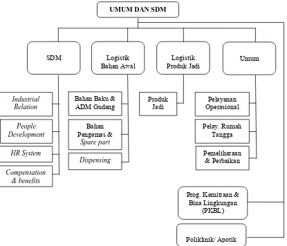 Gambar 5. Struktur Organisasi Direktorat Umum dan Sumber Daya  Manusia (SDM) PT. Indofarma (Persero) Tbk