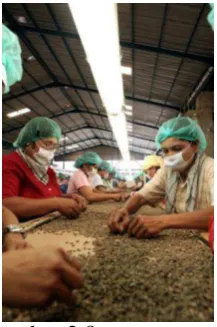 Gambar 2.7. mesin huller 