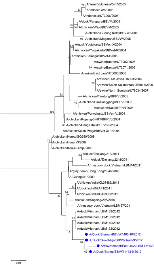 Gambar 7. Pohon filogenetika gen PA 