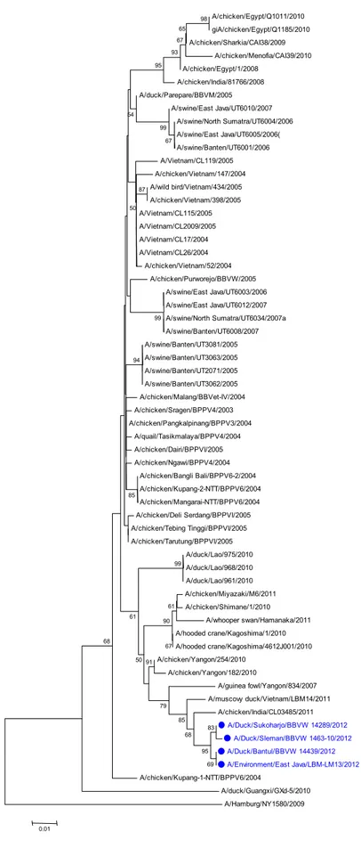 Gambar 8. Pohon filogenetika gen PB1 