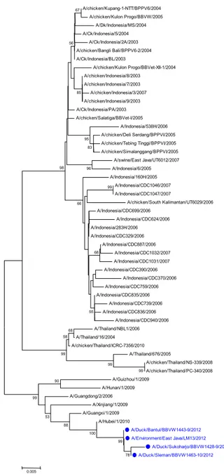 Gambar 9. Pohon filogenetika gen PB2 